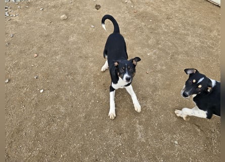 Argo: ein Schatz für die ganze Familie