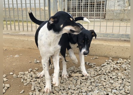 Argo: ein Schatz für die ganze Familie