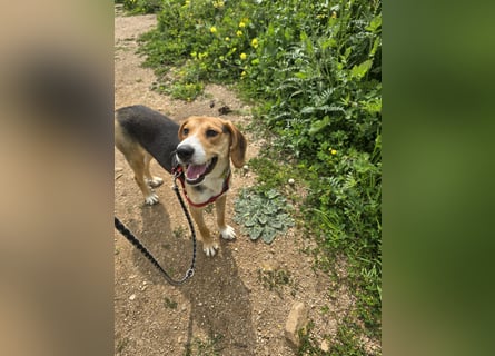 Venere: wird mein Leben bunt und schön?