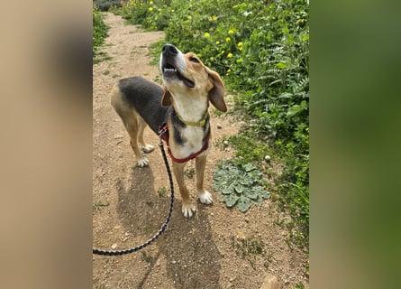 Venere: wird mein Leben bunt und schön?