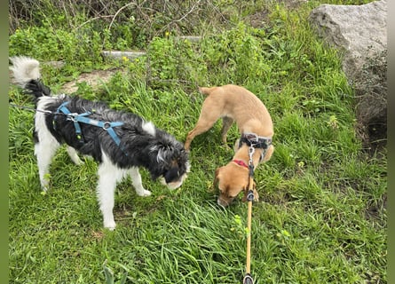 Veneranda: ihr Traum: nie mehr eingesperrt sein