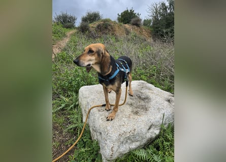 Paoluccia: einmal geliebt werden...