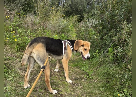 Venere: wird mein Leben bunt und schön?