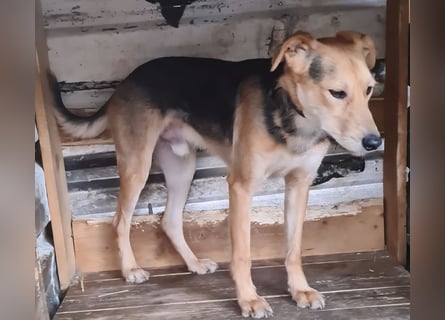 Spenck: wo darf ich hin?