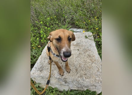 Veneranda: ihr Traum: nie mehr eingesperrt sein