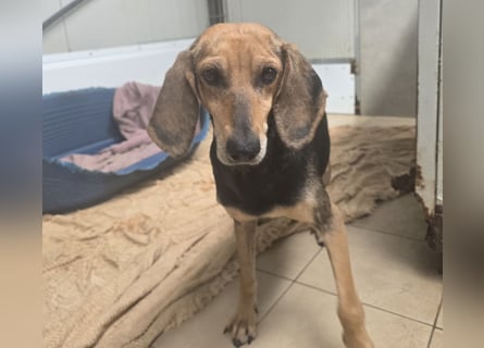 Paoluccia: wird sie noch einmal Geborgenheit spüren?