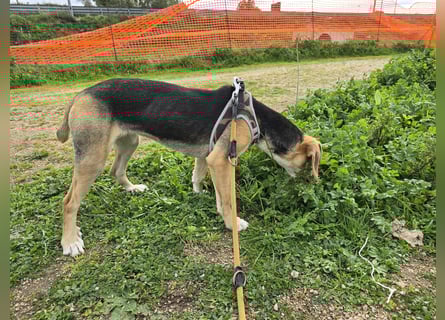 Venere: wird mein Leben bunt und schön?