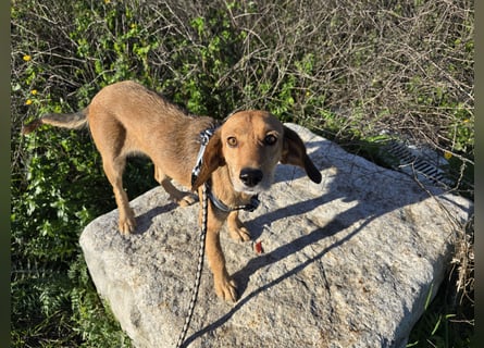 Lilli: sie muss man lieb haben