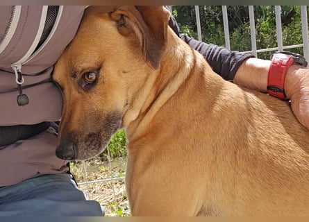 Pallina: sie hat ganz viel Liebe zu geben