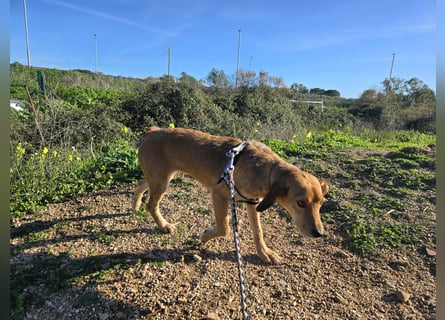 Lilli: sie muss man lieb haben