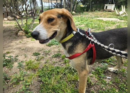 Venere: wird mein Leben bunt und schön?