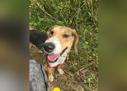 Venere: wird mein Leben bunt und schön?