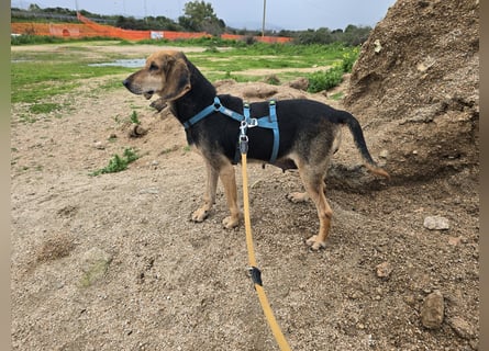 Paoluccia: einmal geliebt werden...