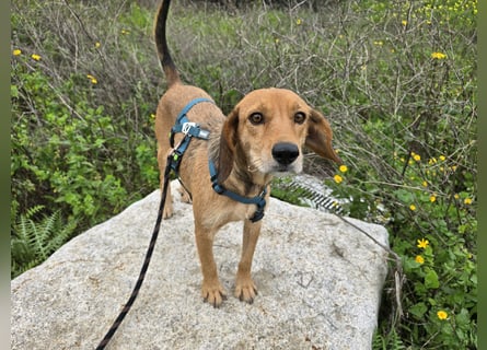 Lilli: sie muss man lieb haben