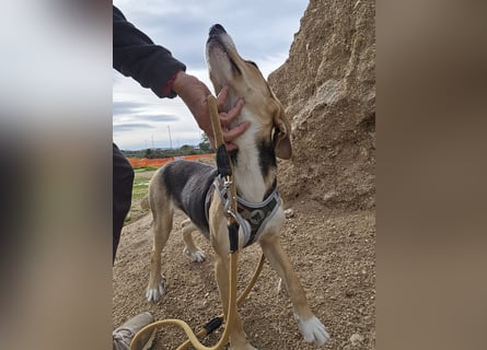 Venere: wird mein Leben bunt und schön?