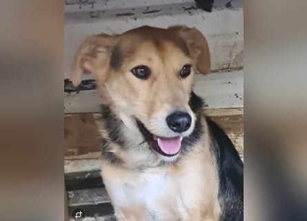 Spenck: wo darf ich hin?