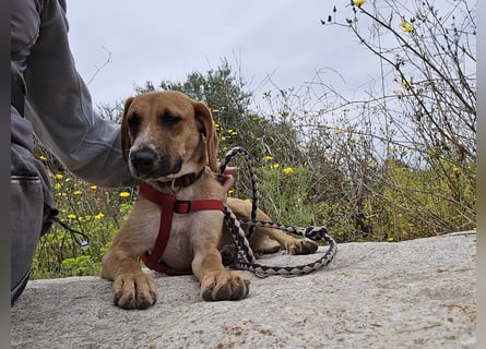 Veneranda: ihr Traum: nie mehr eingesperrt sein
