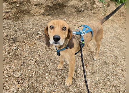 Lilli: sie muss man lieb haben