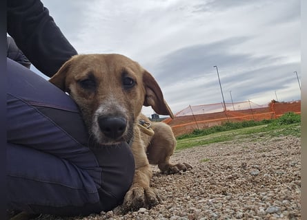 Veneranda: ihr Traum: nie mehr eingesperrt sein