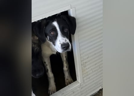 Castagna: sehnt sich nach Freiheit