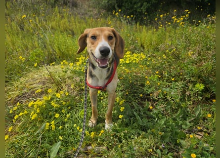 Venere: wird mein Leben bunt und schön?