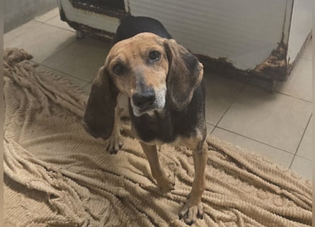 Paoluccia: wird sie noch einmal Geborgenheit spüren?