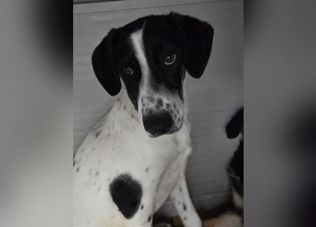 Castagna: sehnt sich nach Freiheit