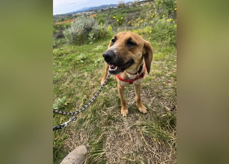 Veneranda: ihr Traum: nie mehr eingesperrt sein