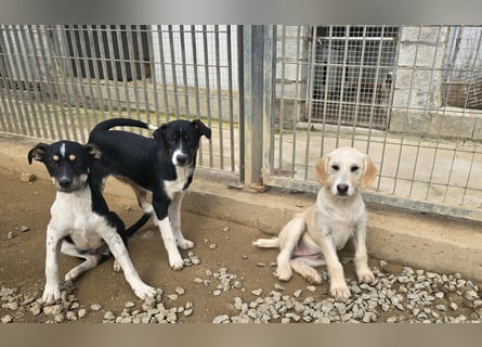 Argo: ein Schatz für die ganze Familie