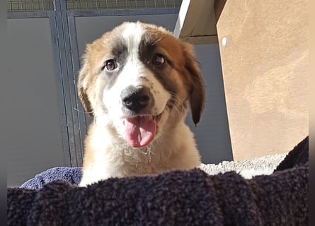 Eveline: bereit für ihre eigene Familie