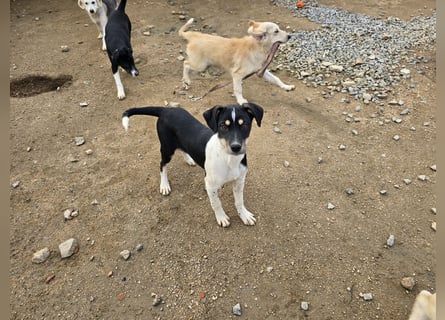 Argo: ein Schatz für die ganze Familie