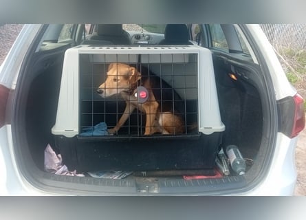 Spenck: wo darf ich hin?