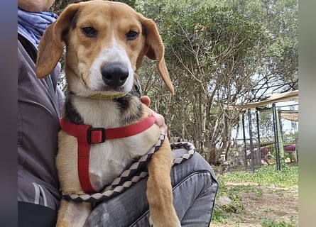 Venere: wird mein Leben bunt und schön?