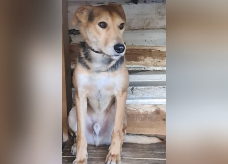 Spenck: wo darf ich hin?