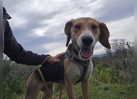 Venere: wird mein Leben bunt und schön?