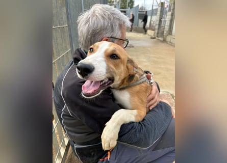 Billie: unkomplizierte Familienhündin