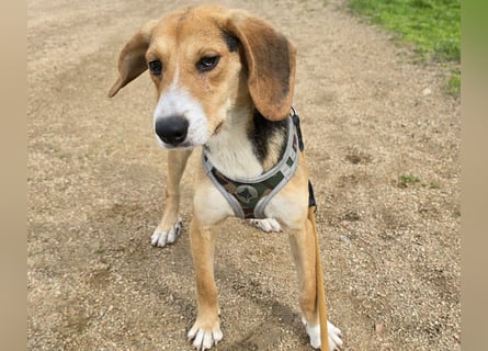 Venere: wird mein Leben bunt und schön?