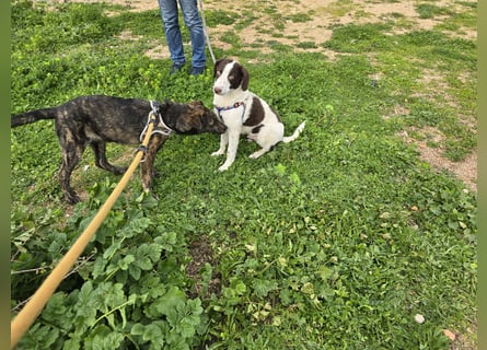 Frieda: ein Schatz für "überall mit dabei"