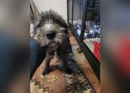 Astra: bereit für ihre eigene Familie