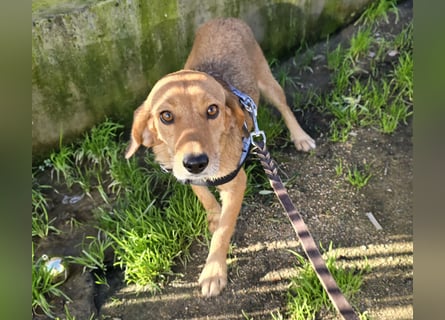 Lilli: sie muss man lieb haben