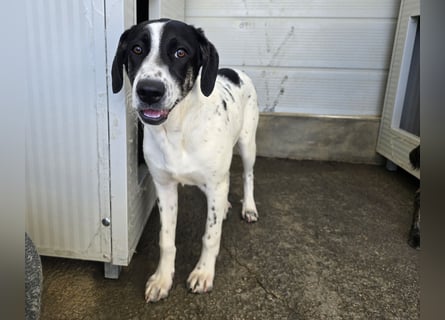 Castagna: sehnt sich nach Freiheit