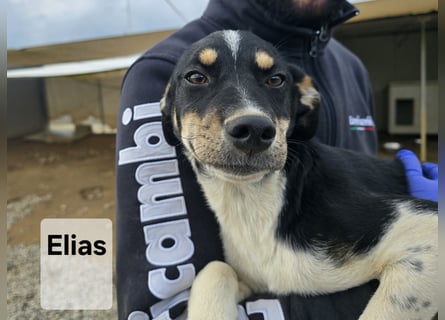 Argo: ein Schatz für die ganze Familie