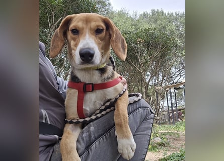 Venere: wird mein Leben bunt und schön?