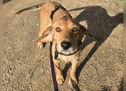 Lilli: sie muss man lieb haben