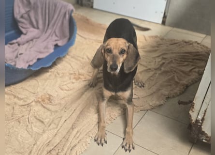 Paoluccia: wird sie noch einmal Geborgenheit spüren?