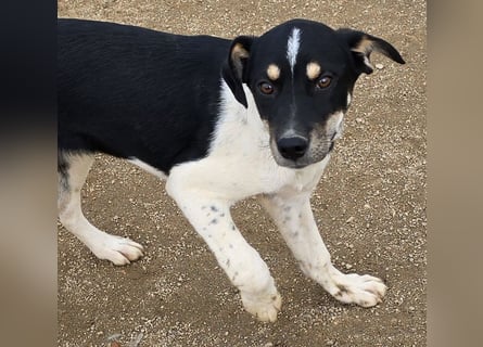 Argo: ein Schatz für die ganze Familie