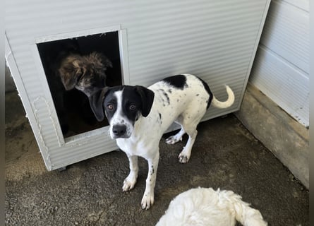 Castagna: sehnt sich nach Freiheit