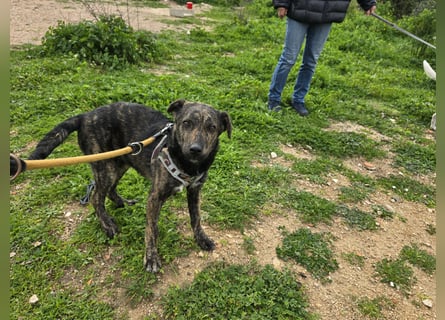 Frieda: ein Schatz für "überall mit dabei"