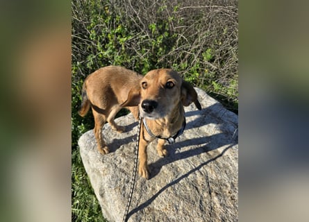 Lilli: sie muss man lieb haben