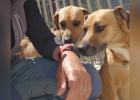 Pallina: sie hat ganz viel Liebe zu geben